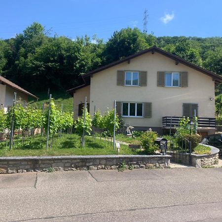 Bed N Breakfast Obermumpf Stein  Екстер'єр фото