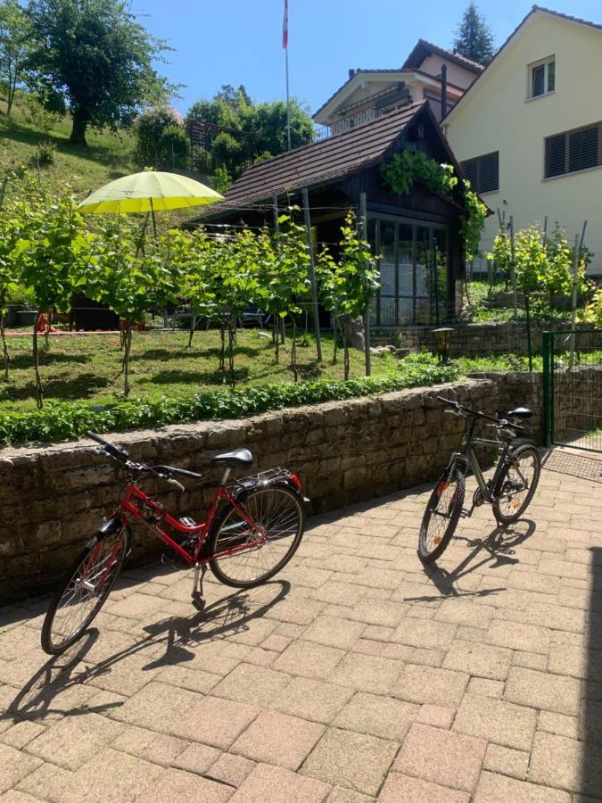 Bed N Breakfast Obermumpf Stein  Екстер'єр фото