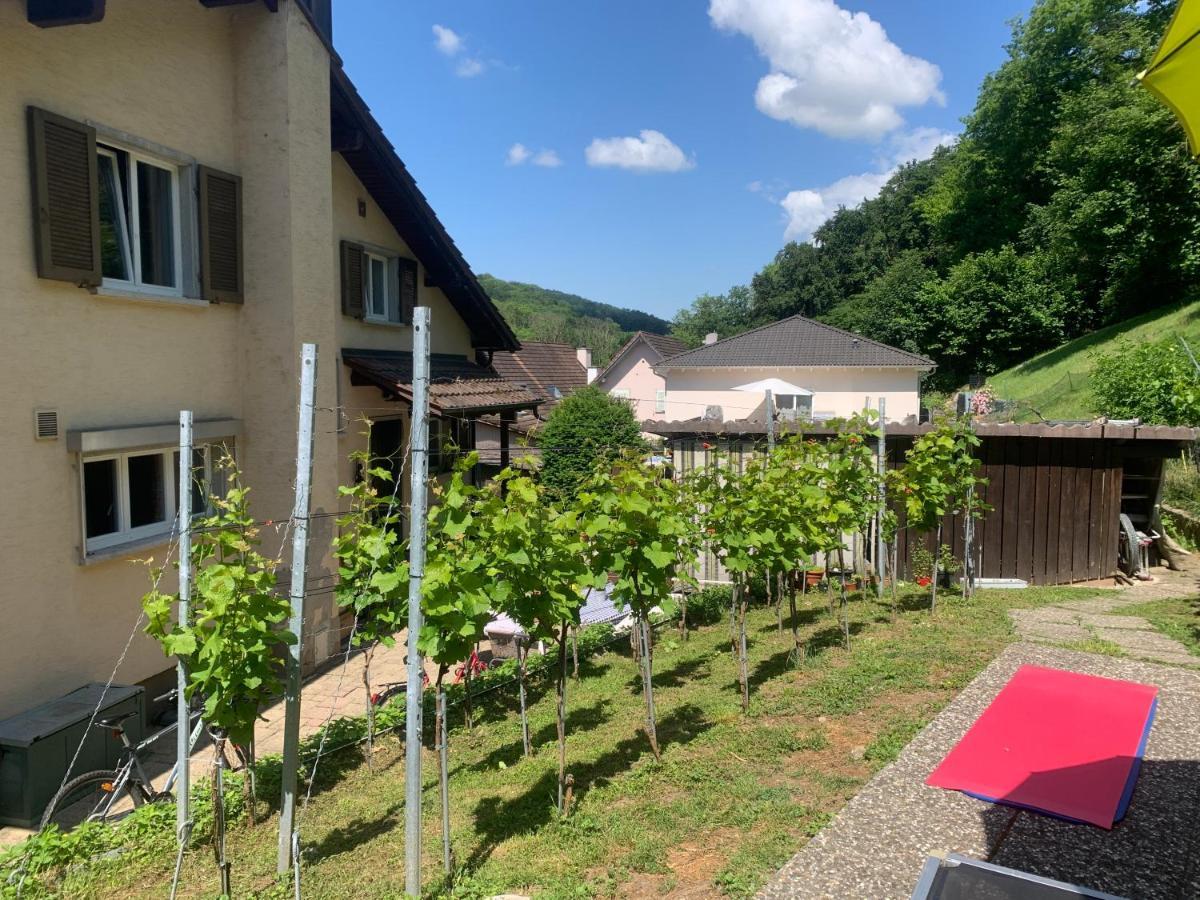 Bed N Breakfast Obermumpf Stein  Екстер'єр фото
