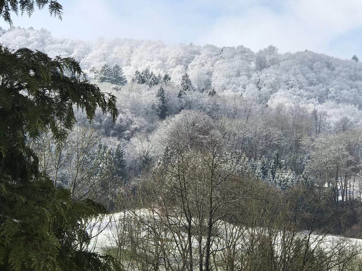 Bed N Breakfast Obermumpf Stein  Екстер'єр фото