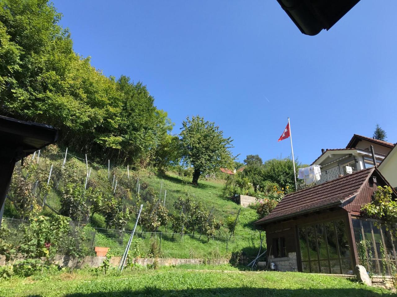 Bed N Breakfast Obermumpf Stein  Екстер'єр фото